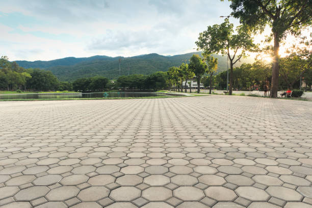 Best Interlocking Driveway Pavers  in Buckhorn, CA