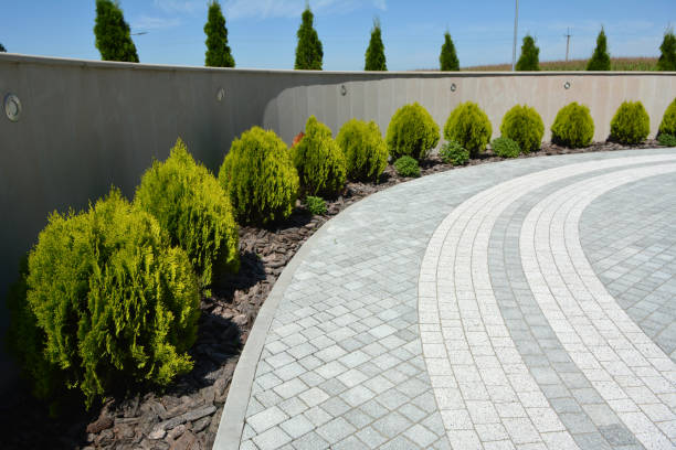 Best Professional Driveway Pavers  in Buckhorn, CA
